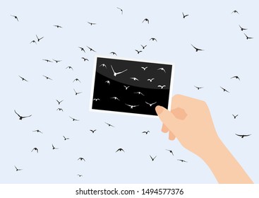 Pigeons fly out of the photo