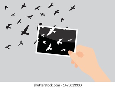 Pigeons fly out in the photo