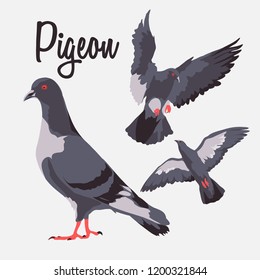 Pigeons isolated set vector. frying pigeon vector.