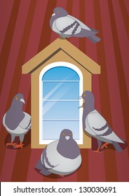 Pigeons on the roof around the attic window