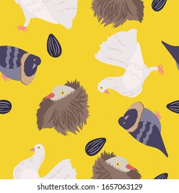 pigeons on a yellow background