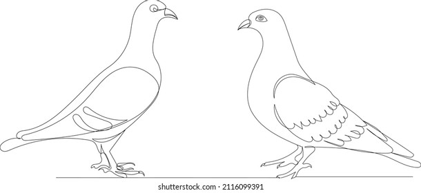 pigeons one line drawing ,vector, isolated