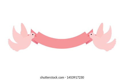 pigeons with ribbon decoration ornament vector illustration