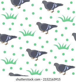 Pigeons seamless pattern. Cute print with pigeons, grass and green polka dots. Street grey birds. Urban inhabitants. Avian flock. Decor textile, wrapping paper wallpaper, vector print