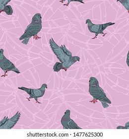pigeons seamless pattern, street urban city pigeon bird, cartoon bird background, vector editable illustration