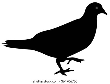 pigeons silhouette isolated