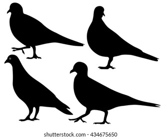 pigeons silhouette isolated