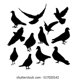 pigeons silhouette. Vector