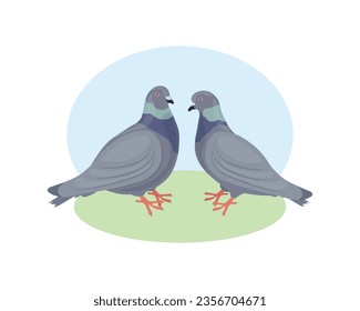 Pigeons. Two pigeons look at each other. Pigeon and dove. Urban birds. Vector illustration on a white background