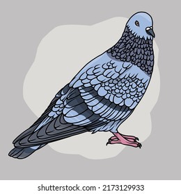 palomas.  ilustración vectorial.  puede utilizarse como logotipo, diseño de camisetas, etc