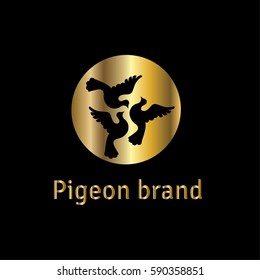 Pigeons vector logo design template