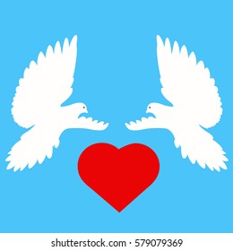 Pigeons. Wedding doves. A pair of doves. Vector illustration.