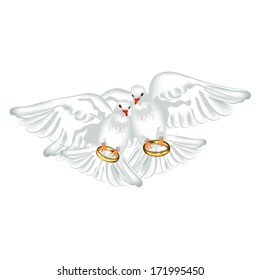 Pigeons and wedding rings