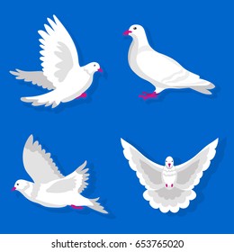 Pigeons or white dove birds flying vector flat isolated icons