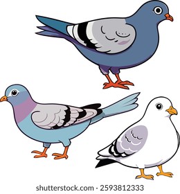 Pigeons,cartoon vector consist of tree models