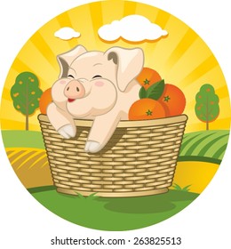 piggy in the basket with oranges
