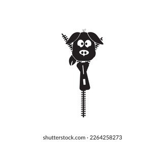 Piggy behind zipper, vector. Fun illustration. Funny cartoon character. Cute little pig silhouette isolated on white background. Art design, wall artwork, wall decals. Childish poster design