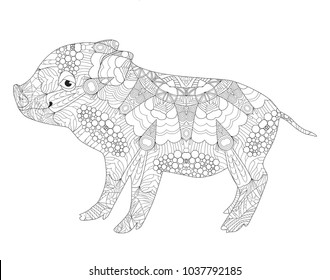 Piggy coloring book for adults vector