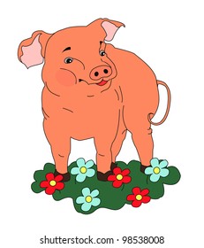 The piggy on the meadow