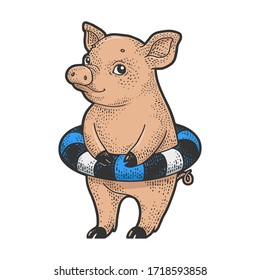Piggy with rubber ring for swimming color sketch engraving vector illustration. T-shirt apparel print design. Scratch board imitation. Black and white hand drawn image.