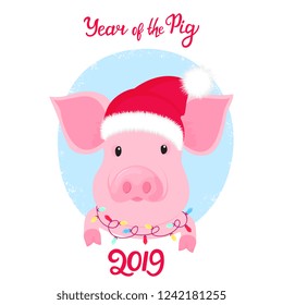 Piggy in Santa's hat with a garland around his neck. Year of the pig 2019 hand lettering.