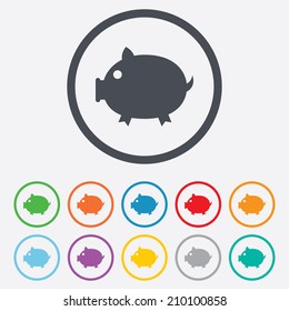 Piggy sign icon. Pork symbol. Round circle buttons with frame. Vector