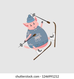 Piggy skiing. New Year 2019. Vector illustration.