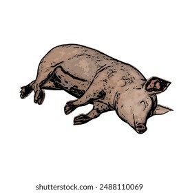 Piggy vector ilustration design template 