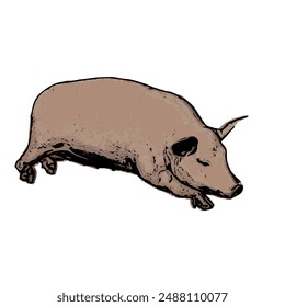 Piggy vector ilustration design template 