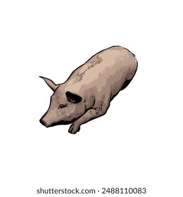 Plantilla de diseño de ilustración de Vector de cerdo 