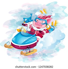 Piglet with birds riding a snowmobile. Winter vector illustration. Cheerful cartoon character.