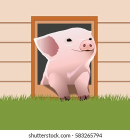 Piglet come out from the pet door. Cute piglet. Happy pig face. Cartoon character. Vector illustration