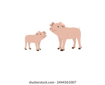 piglet on a white background.