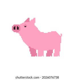 Piglet pixel art. Pink Pig 8bit. Farm animal vector illustration