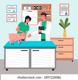 Piglet at reception of veterinarian. Owner of pet holding pig on veterinary table Veterinarian examines pet. Shelves with folders, medical records, medicine bottles, disposable wipes. Diplomas on wall