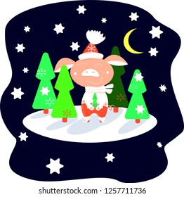 Piglet in red pants in a winter forest on a starry night among green Christmas trees