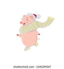 Piglet in scarf and hat skating isolated on white background. Happy pig on winter holidays. Cute character symbol of 2019.