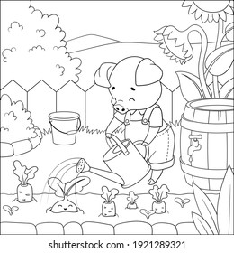 Нappy piglet is watering vegetables from a watering can in his garden. Coloring book for children. Cartoon vector illustration.