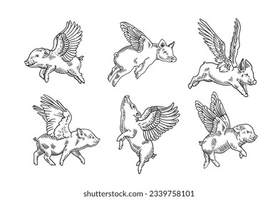 Piglet with wings. Hand drawn engraving style illustrations.