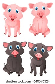 Piglets and pigs in set of four