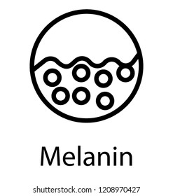 Pigmentation In Skin Layer, Melanin