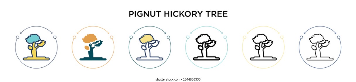 Pignut hickory tree icon in filled, thin line, outline and stroke style. Vector illustration of two colored and black pignut hickory tree vector icons designs can be used for mobile, ui, web