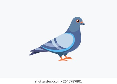 Pigon design vector on white background