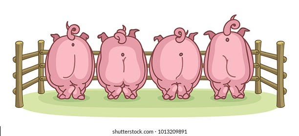 Pigs back view on a white background