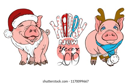 Pigs in Christmas costumes, vector illustration