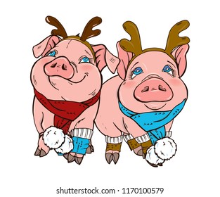 Pigs in Christmas costumes, vector illustration