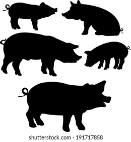 Pigs collection - vector silhouette