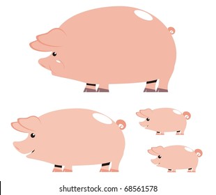 Pigs - Farm animals color vector illustration isolated on white