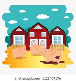 pigs in the farm scene