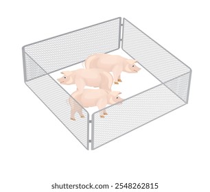Pigs in farmland. vector illustration